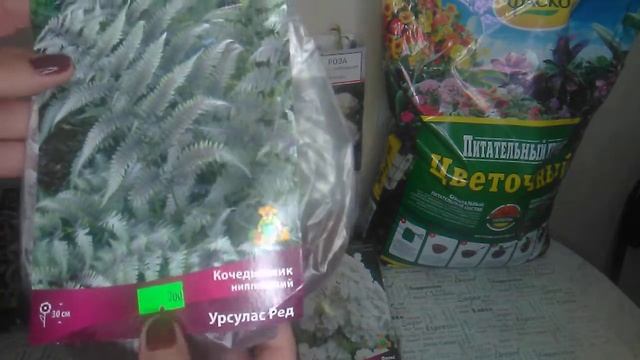 Покупки в садовом центре СЕВЕРИН смотреть онлайн
