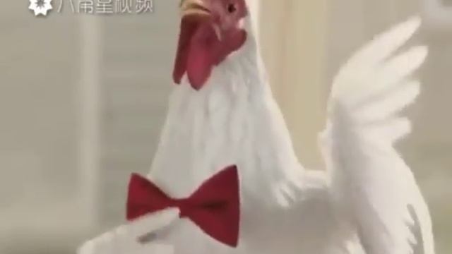 Год петуха 🐔!!!!! смотреть онлайн