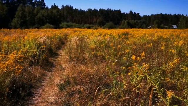 Украинская рапсодия