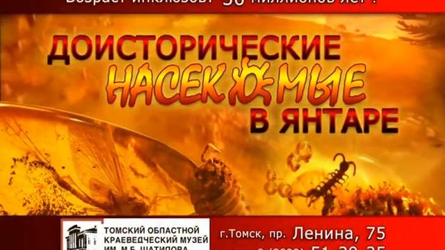 «Доисторические насекомые в янтаре» смотреть онлайн