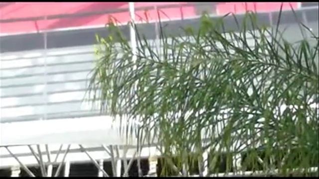 Kodak Theatre before Oscar ceremony 02252012.mov смотреть онлайн