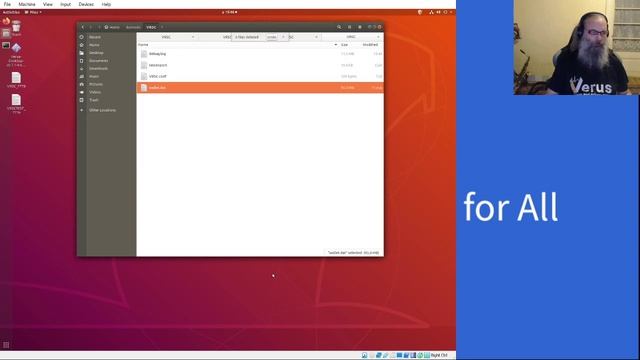 Bootstrapping Your Verus Desktop Wallet