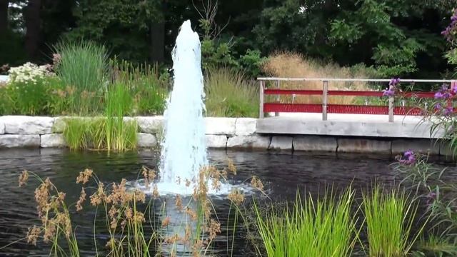 The Best Views Of Royal Botanical Gardens In Burlington, ON