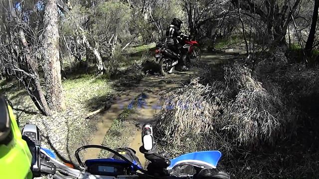WR250R Vs CRF250L: Comparison Review