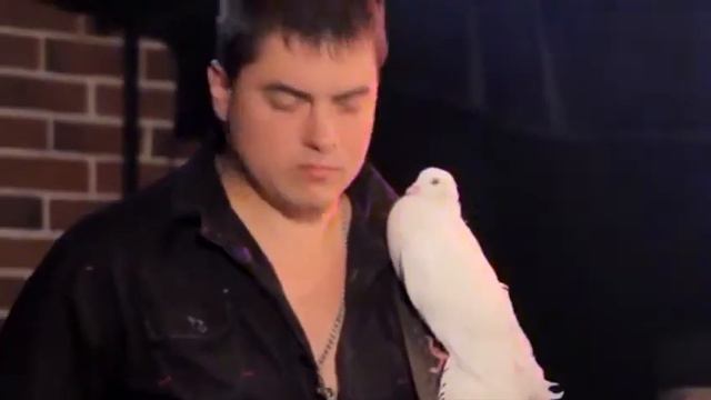 Бутырка - "Сорвутся голуби" смотреть онлайн