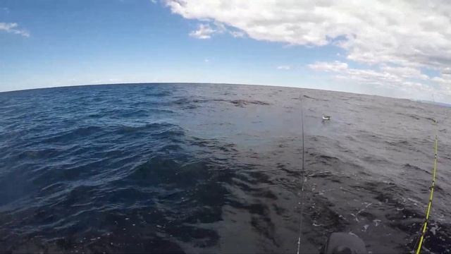 Snapper fishing on Berkley Gulp nemesis смотреть онлайн