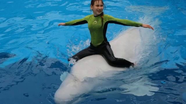 Всем привет Варя и Данил смотреть онлайн