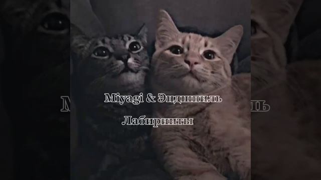×͜×?????? & Эндшпиль - Лабиринты×͜× смотреть онлайн