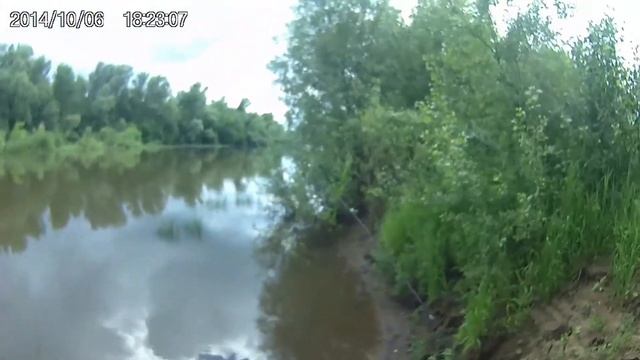 Ловим белую рыбу на маленькой речке. Первый раз проверяем экшн камеру. смотреть онлайн