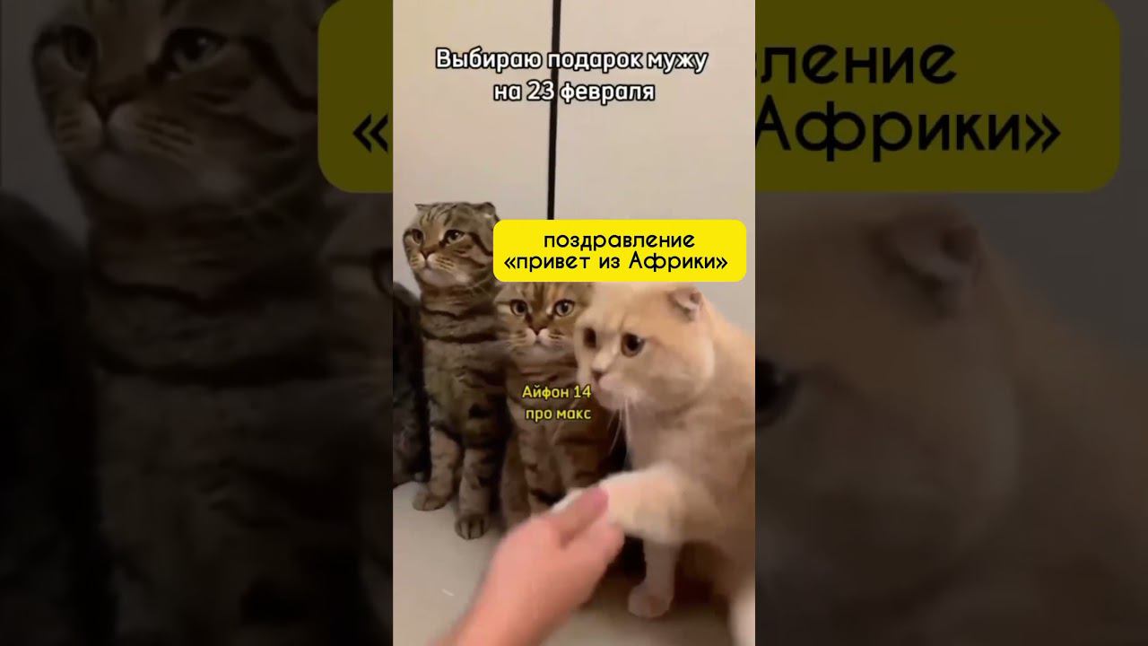 Лучший подарок - эмоции Ваш мужчина запомнит его надолго #23февраля #деньзащитникаотечества смотреть онлайн