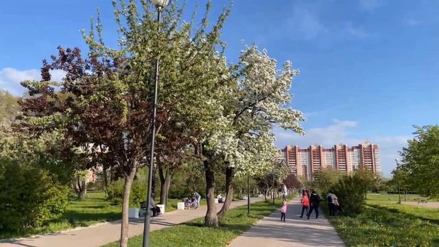 29.05.2022 Моноколесо как инструмент оператора и фотографа! Яблоневый сад! Цветение начинается! 4К смотреть онлайн