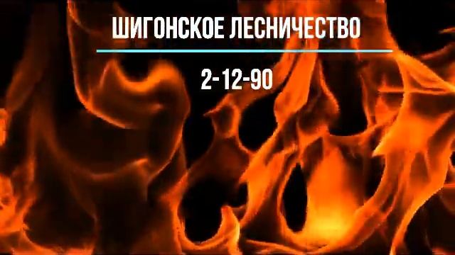 Правила поведения при пожаре в лесу смотреть онлайн