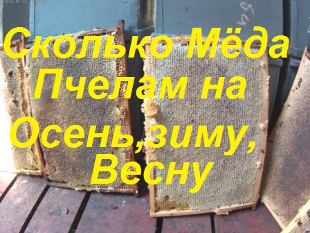 Сколько мёда пчёлам-осень,зиму,весну.Пчеловодство южных регионов.ПчелоМаток не принимают. смотреть онлайн