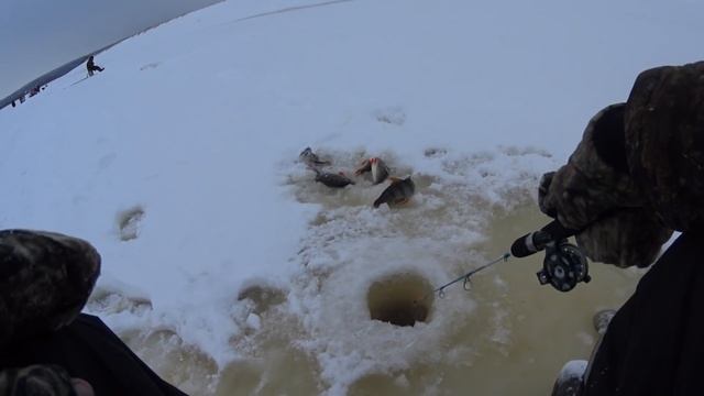 РЫБАЛКА 2021-2022, окунь на vib. смотреть онлайн