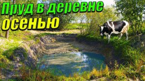 Вот кто мутит воду в пруду! Мой пруд в деревне осенью!