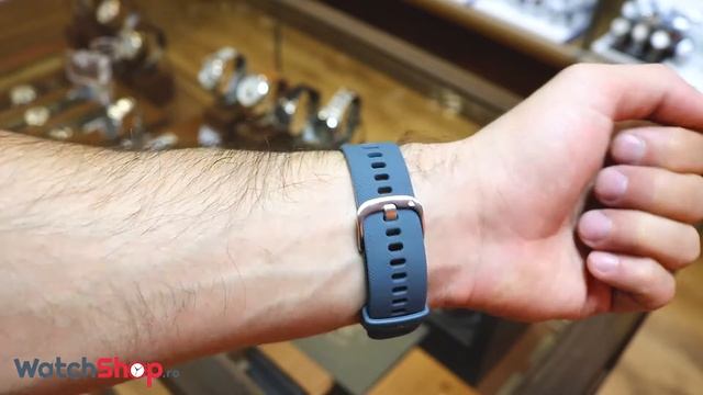 SmartWatch Garmin Venu 010-02173-04 Granite Blue with Silver Hardware смотреть онлайн