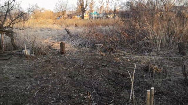 Выпилили сад, продолжаем наводить порядок! смотреть онлайн