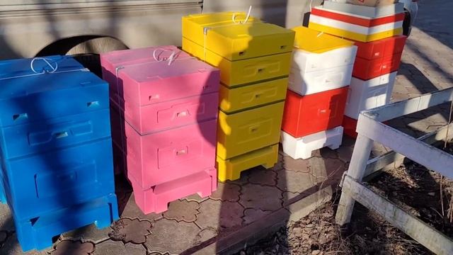 Покинутая пасика, как пчелкам удалось вижить... смотреть онлайн