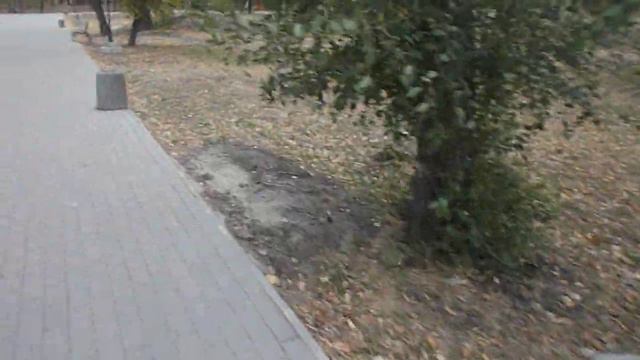 11.10.2020г. г.Северодонецк. Как выглядит городской парк сегодня. смотреть онлайн