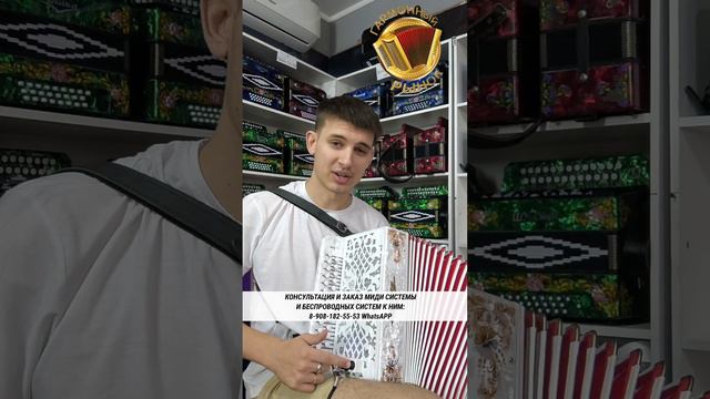 ГАРМОНЬ ОСТАЁТСЯ ГАРМОНЬЮ! А МИДИ СИСТЕМА ЭТО МОЩНОЕ ДОПОЛНЕНИЕ К НЕЙ! #мидигармонь #midi #гармошка смотреть онлайн