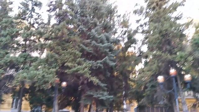 Video зарисовки Саратова. Осенний городок СГУ, в центре города. 2020 год смотреть онлайн