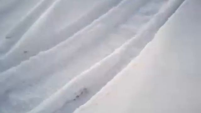 Снегоход Dingo t125 заезд в горку ,миф РАЗРУШЕН !! смотреть онлайн