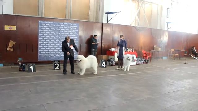 Самоед,моно,Челябинск,промежуток,17.02.2013 смотреть онлайн