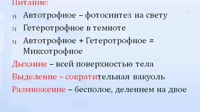 Подтип Жгутиконосцы. Эвглена зеленая.AVI смотреть онлайн