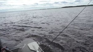 рыбалка на озере Воже