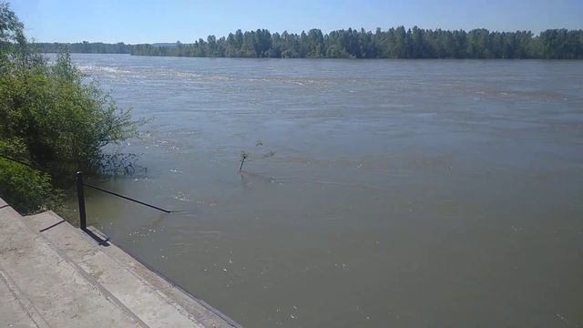 Туба 08 июня 2021 года смотреть онлайн