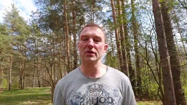 Учительское вдохновение: взаимосвязь воспитания и образования