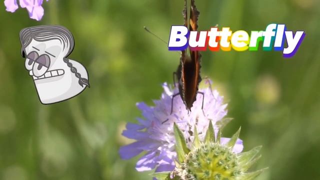 Alphabet Lore but Different / Letters ABC смотреть онлайн