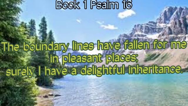 Book 1 Psalm 16 — Keep me safe, O God, for in you I take refuge. смотреть онлайн