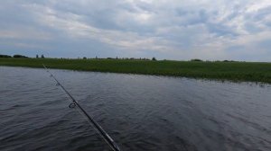 Рыбалка на Иртыше - с.Батово [ ИЮЛЬ 2021 ]