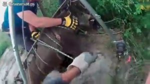 Спасение дикого кабана