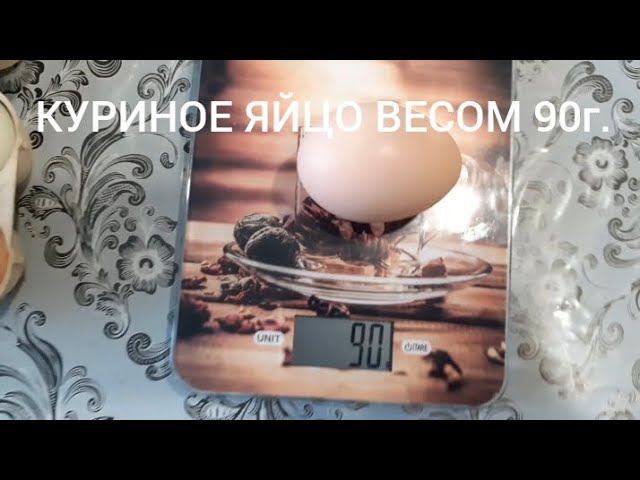 куриное яйцо весом 90г. смотреть онлайн