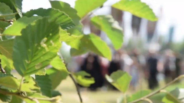 Иринарховский Крестный ход. (июль 2022год) смотреть онлайн