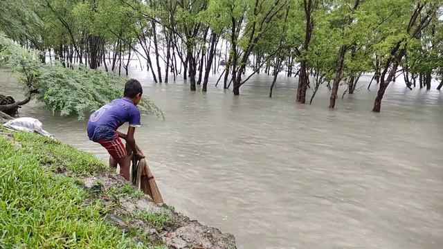 Amazing boy river catch net fishing video | Fishing by net смотреть онлайн