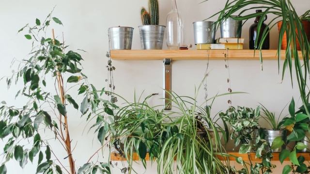 Проследила за мужем подруги и застыла от удивления, увидев на кого он ее променял. Истории из жизни смотреть онлайн