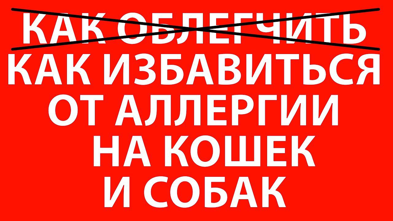 Владимир Горохов Медитации Психология