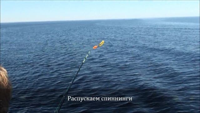 Аренда теплохода "АЛЬБАТРОС", троллинг в Петрозаводске, рыбалка в Карелии смотреть онлайн