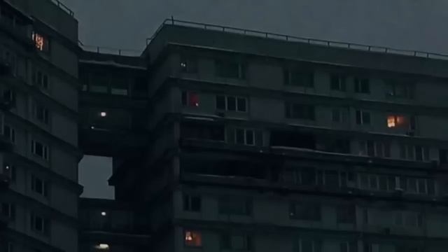 loneliness has become my comfort. смотреть онлайн