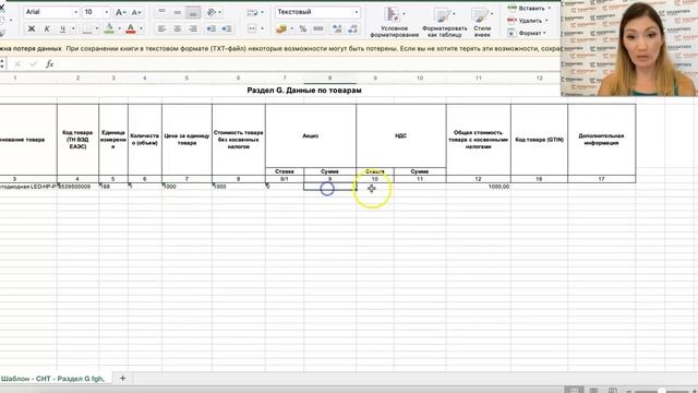 Ввод СНТ на основании excel шаблона смотреть онлайн