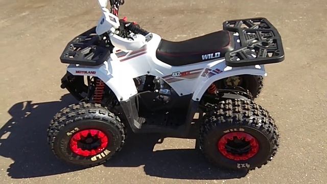 Обзор детско-подросткового квадроцикла Wild 125.Серия 1 смотреть онлайн