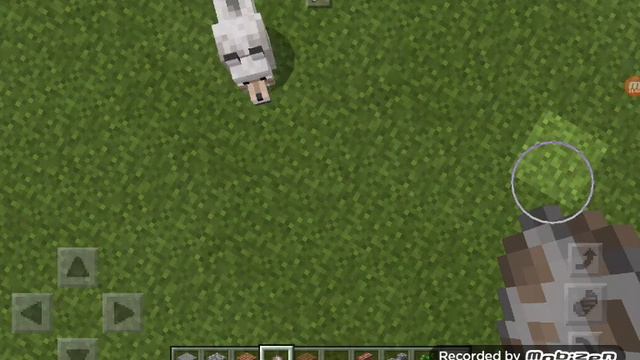 Выпускаем куча собак из клетки смотреть онлайн