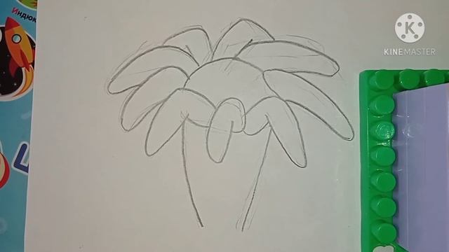 Как нарисовать БУМЕГАНГ ПАЛЬМУ из игры Растения Против Зомби | Plants vs Zombies смотреть онлайн