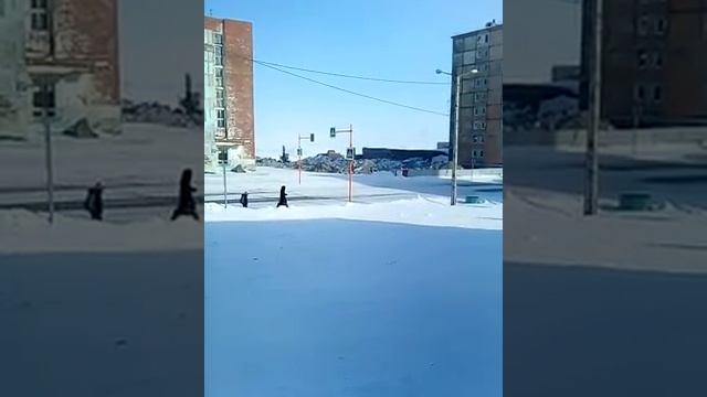 гостиная Кайеркан часть 6 продолжение уборка мусора смотреть онлайн