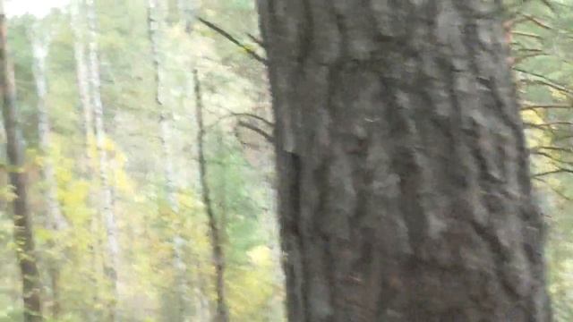 Боль... звучит гитарная струна. Дельта. Для тех, кому грустно. смотреть онлайн