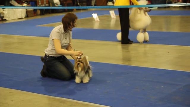 Евразия 2015 1 день Бивер Султан