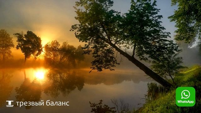 Алкогольная зависимость. Привычки, тренировки и питание. Выход в трезвость. смотреть онлайн